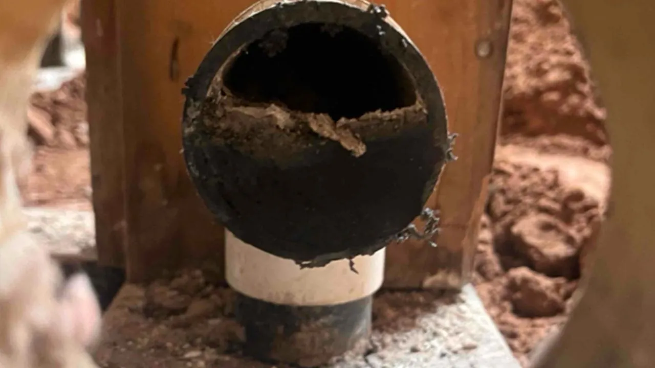 Clogged sewer pipe exposed in a trench